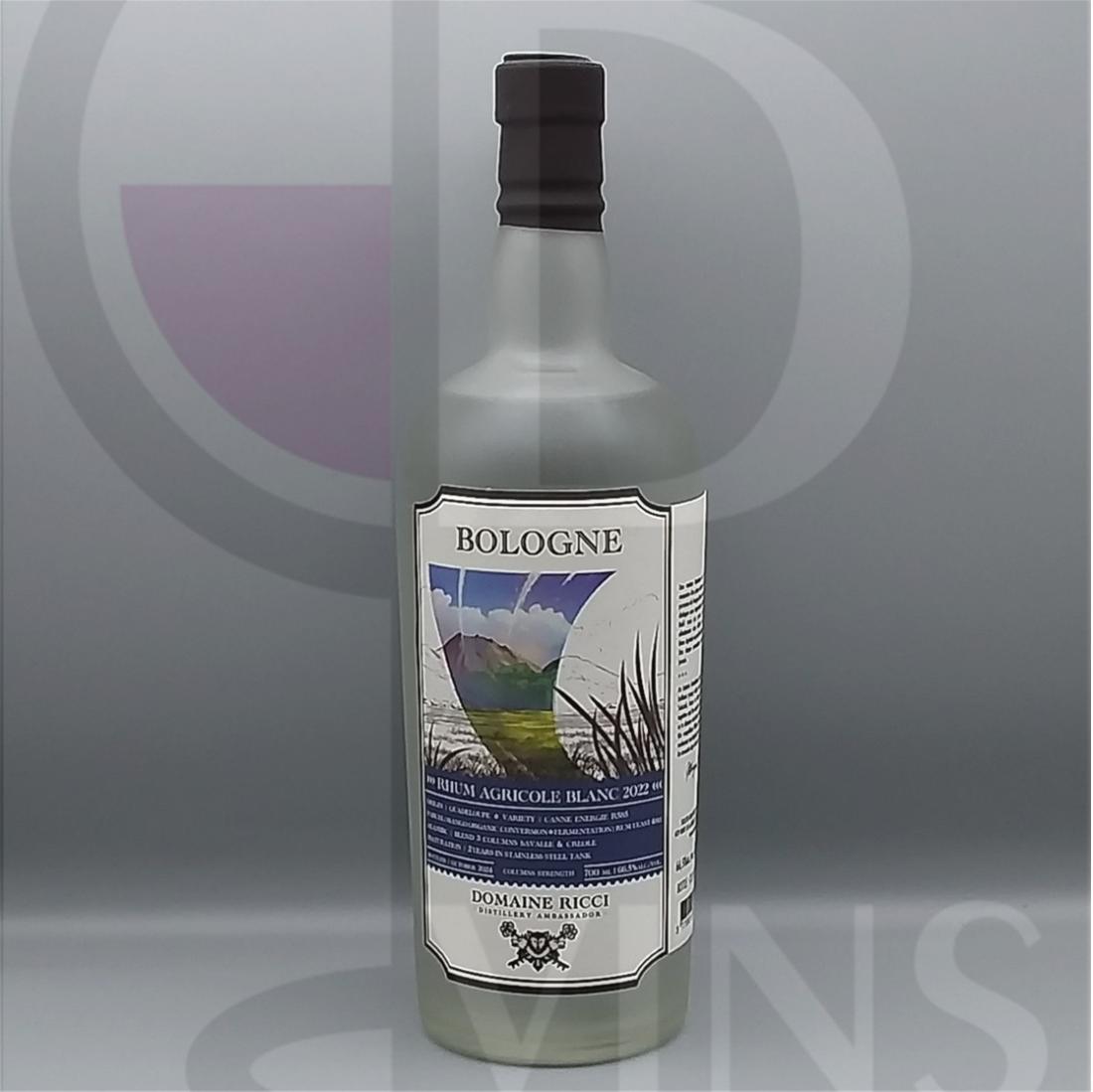 Domaine Ricci Bologne Blanc